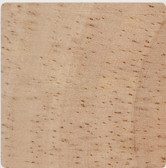 3/$30 Bouclair Terrarium Dried - Picture 3 of 4